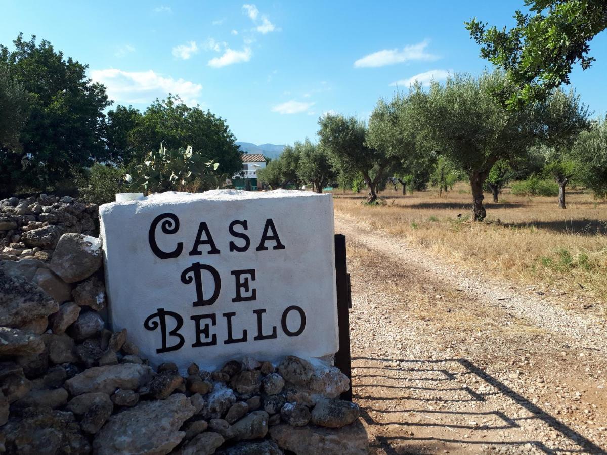 Casa De Alojamento de Acomodação e Pequeno-almoço Tortosa